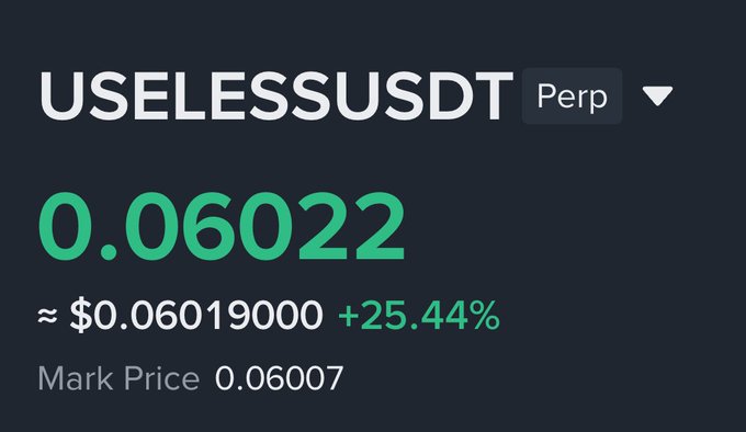 The image shows a price ticker for USELESSUSDT Perp displaying a current price of 0.06022, approximately $0.06019000, with a notable gain of +25.44% and a mark price of 0.06007. This visually supports the post's claim about USELESS's tendency to surge rapidly during market rebounds, as evidenced by its strong double-digit percentage gain shown on the chart.