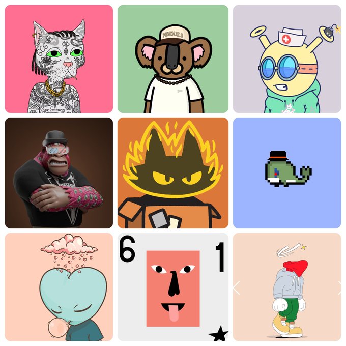 A 3x3 grid of NFT profile pictures featuring various cartoon characters including a tattooed cat, a koala in a hat, a yellow creature with a medical hat, a pixel snake, a cat with flames, and a heart-headed figure.