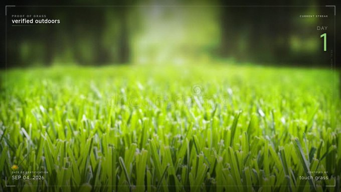 A close-up photo of green grass features a digital overlay reading 'verified outdoors', 'CURRENT STREAK DAY 1', 'SEP 04, 2026', and 'touch grass'.