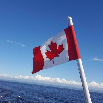 The Canadian flag waves against a clear blue sky over the ocean, symbolizing the country's growing crypto ownership of 25% in 2026, according to the Ontario Securities Commission. This upward trend highlights increased digital asset adoption by Canadians.