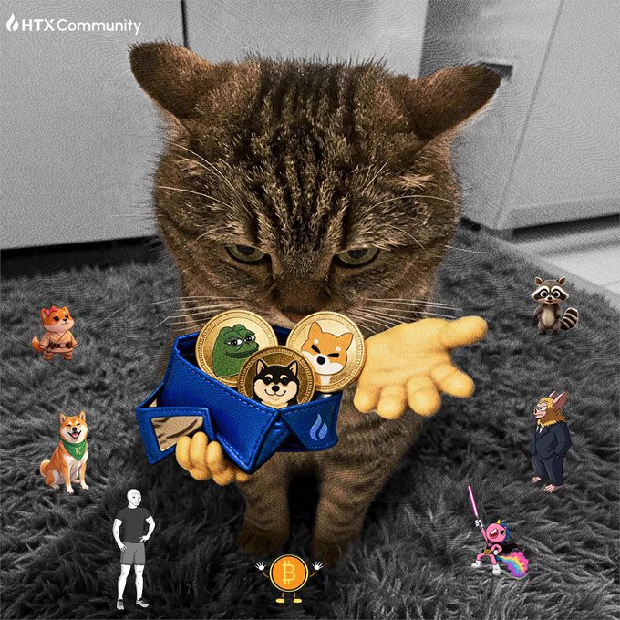 A meme image from HTX Community featuring a serious-looking tabby cat holding a blue wallet of meme coins (Pepe, Shiba, Doge), surrounded by various crypto character figures.