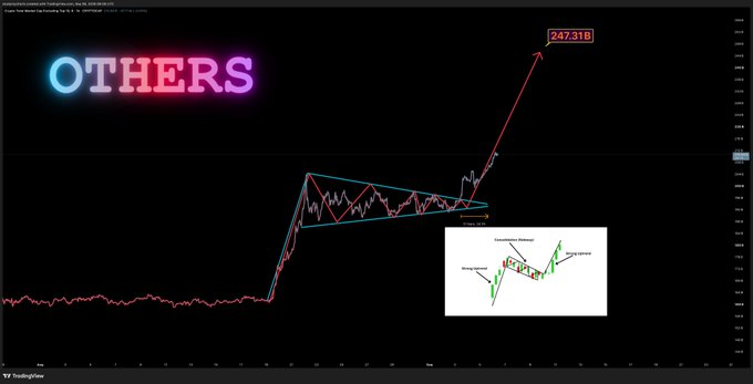 A TradingView chart labeled 'OTHERS' with neon-style text, illustrating an ascending triangle breakout pattern in cyan, with a projected price target of 247.31B indicated by a red arrow, and an inset chart showing another bullish pattern.