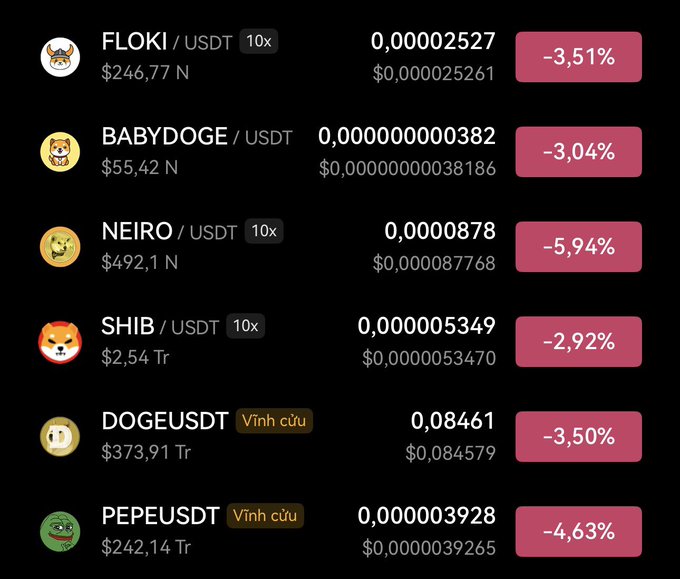 A cryptocurrency price tracker shows various meme coins including FLOKI, BABYDOGE, NEIRO, SHIB, DOGEUSDT, and PEPEUSDT, all displaying negative percentage changes in red.
