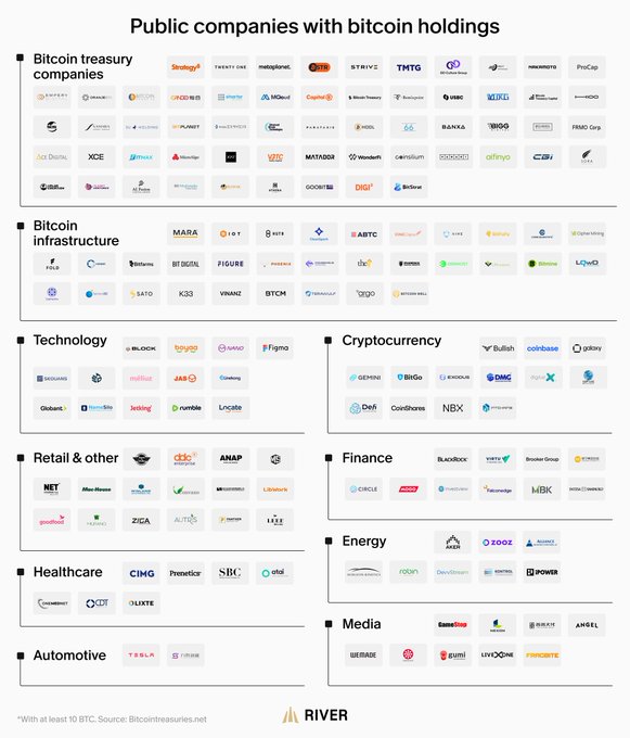 An infographic titled "Public companies with bitcoin holdings" by River, categorizing numerous company logos into sections including Bitcoin treasury companies, infrastructure, Technology, Cryptocurrency, Retail & other, Finance, Healthcare, Automotive, Energy, and Media.