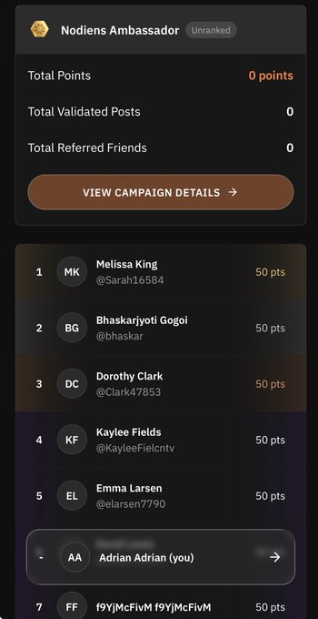 A screenshot of a 'Nodiens Ambassador' leaderboard showing user rankings, points, and a 'View Campaign Details' button.
