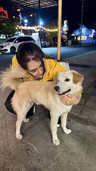 A woman in a yellow jacket kneels on a sidewalk at night, smiling as she hugs a light-colored dog.