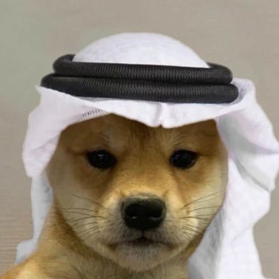 A close-up photo of a small brown puppy wearing a traditional Middle Eastern white headdress (keffiyeh) secured with a black agal cord.
