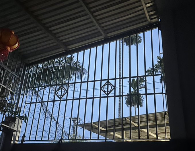 A view through metal window bars shows palm trees against a blue sky, with a red lantern visible on the left side of the frame.