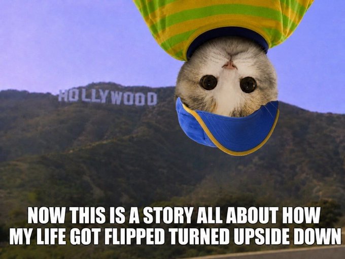 The image features a cat wearing a hat, with its head hanging over the edge of a cliff or mountain top. Below the cat's head, there is text that reads "Now this is a story all about how my life got flipped upside down". The cat appears to be in a playful pose as it hangs from above, and the image captures an interesting moment where the cat seems to defy gravity by hanging upside down while wearing its hat.