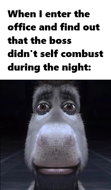 The image features a cartoon donkey with a big smile, appearing as if it's posing for a picture or selfie. The donkey has a caption below that reads "When I enter the office and find out that the boss didn't' self combat during the night". This caption is related to an Opus 4.8 model from Anthropic, which was used to uncover a bug in the ZEC cryptocurrency. The vulnerability existed for more than four years and was patched within five days.