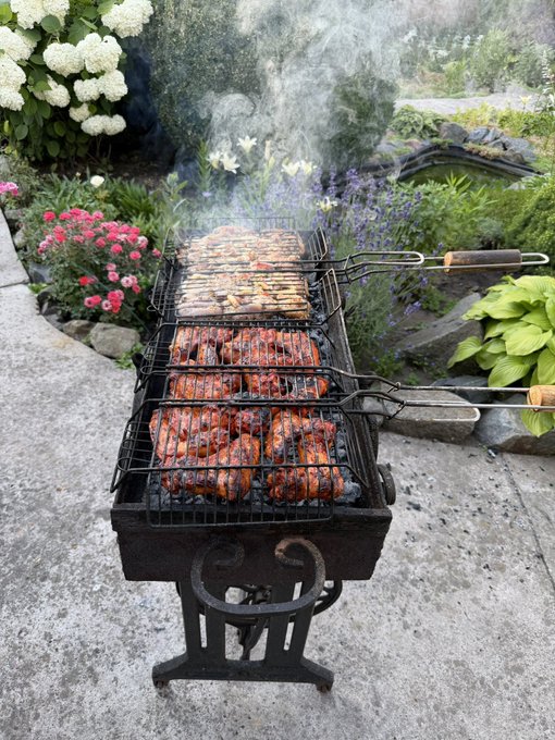 An outdoor charcoal grill loaded with skewers of meat cooking over hot coals, surrounded by a garden with blooming pink and white hydrangeas.