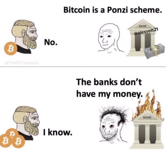 Two-panel Bitcoin meme from @TheBTCTherapist contrasting claims: 'Bitcoin is a Ponzi scheme' (No) and 'The banks don't have my money' (I know), with the second panel showing a distressed figure and a burning bank.