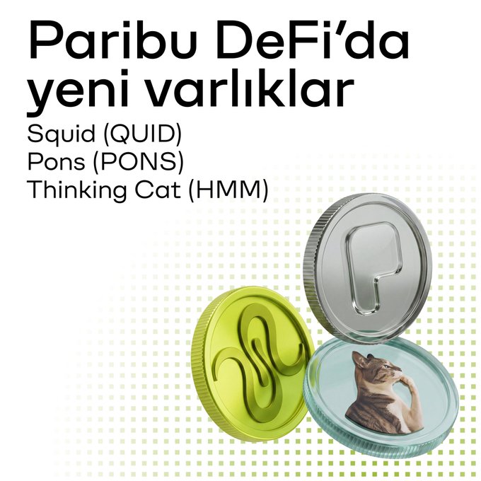The image is an announcement graphic with the Turkish text "Paribu DeFi'da yeni varlıklar" (New assets on Paribu DeFi), listing three new cryptocurrency tokens: Squid (QUID), Pons (PONS), and Thinking Cat (HMM). It features stylized 3D coin illustrations representing each token — a green squid coin, a silver "P" coin, and a cat-image coin — visually corresponding to the three newly available trading assets mentioned in the post.