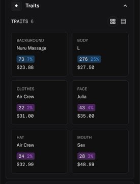 A dark-mode NFT traits panel showing six attributes: Background 'Nuru Massage' (73/7%, $23.88), Body L (276/25%, $27.50), Clothes 'Air Crew' (22/2%, $31.00), Face 'Julia' (43/4%, $35.00), Hat 'Air Crew' (24/2%, $32.99), and Mouth 'Sex' (28/3%, $48.99).