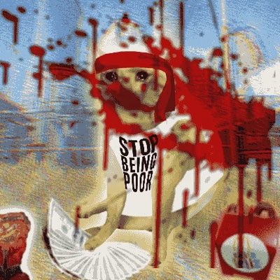 A dog wearing a bandana and a t-shirt that reads "STOP BEING POOR" fans out money while covered in red splatters. This image relates to the post by humorously depicting a desire to stop being poor, aligning with the "Cash Cat" reaching a new All-Time High.