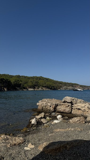 A calm, sunny morning view of a rocky cove with clear blue water, a forested headland, and a small motorboat in the distance — a serene start to a happy Wednesday.
