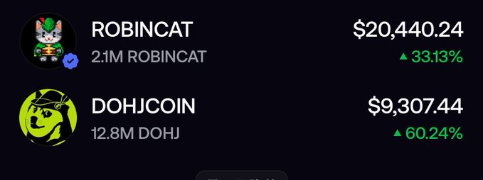 A cryptocurrency tracking interface shows 'ROBINCAT' at $20,440.24 with a 33.13% increase and 'DOHJCOIN' at $9,307.44 with a 60.24% increase.