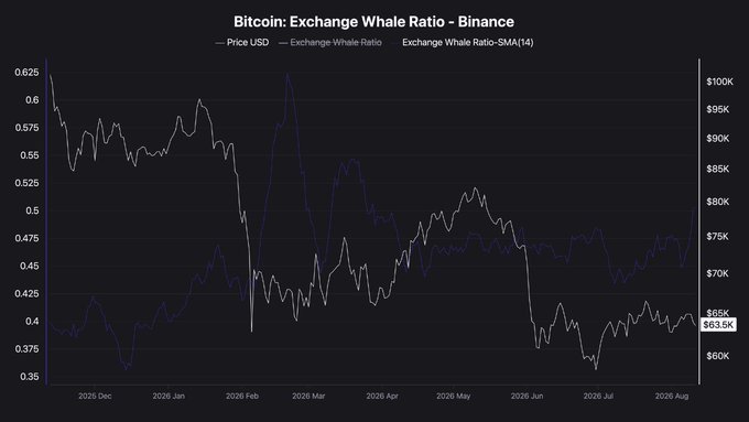A line chart titled "Bitcoin: Exchange Whale Ratio - Binance" tracks Bitcoin's price (USD) alongside the Exchange-Whale Ratio and its 14-period SMA from December 2025 through August 2026, showing Bitcoin trading near $63.5K-$65K while the whale ratio fluctuates between roughly 0.35 and 0.65. The chart visually supports the post's claim of elevated whale activity on Binance, as the ratio lines show notable volatility during the period when BTC is testing the $65K resistance level.