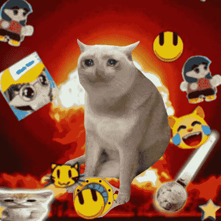 A white cat sits amid a fiery red background surrounded by meme-style emojis, smiley faces, and cartoon character stickers, capturing the chaotic, viral energy of internet cat culture. The image visually reinforces the post's tongue-in-cheek claim that "Cash cats are the next BAYC," riffing on Bored Ape Yacht Club hype by replacing apes with absurdly popular cat memes.