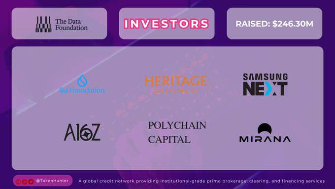 An investor slide for 'The Data Foundation' lists 'RAISED: $246.30M' and shows logos for Sui Foundation, Heritage Distilling Co., Samsung NEXT, a16z, Polychain Capital, and Mirana, with the TokenHunter handle at the bottom.