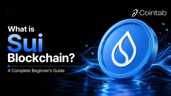 A thumbnail or banner reading 'What is Sui Blockchain? A Complete Beginner's Guide' by Cointab, displaying a large blue Sui token coin against a dark background.