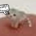 The image shows a small white mouse or rodent on a pink surface with a speech bubble above it reading "Who me? No I'm good!" — visually conveying an expression of innocent denial or feigned ignorance. The caption relates to the post's theme of restraint, with the mouse's protest of innocence humorously mirroring the poster's insistence that they're not spending money on new mints despite their "memer" instincts telling them otherwise.