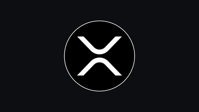 A minimalist logo featuring a white 'X' symbol enclosed in a thin circular outline against a dark gray background.