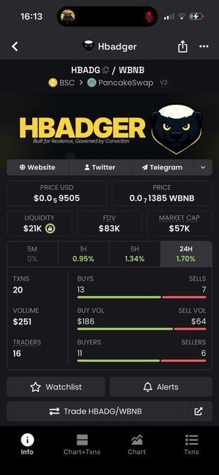 A mobile app screenshot showing token information for 'HBADGER' (HBADG / WBNB) on PancakeSwap V2, displaying price, liquidity, and market cap stats.