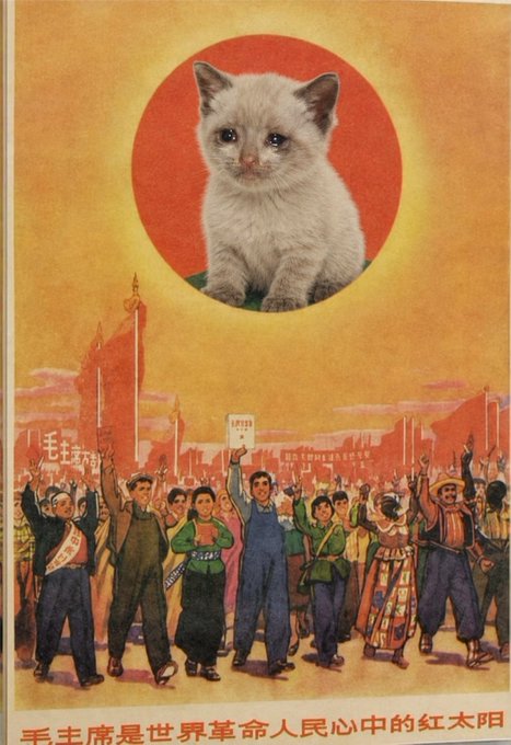 A vintage-style propaganda poster with Chinese text at the bottom, depicting a crowd of diverse people below a red sun, with a photograph of a white kitten's face superimposed over the sun.