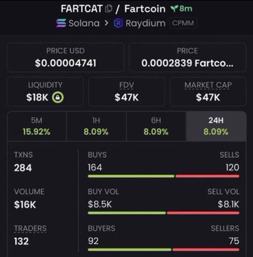 A clearer cryptocurrency tracking interface for 'FARTCAT / Fartcoin' on Solana via Raydium CPMM, showing a price of $0.00004741, market cap of $47K, 132 traders, and 284 transactions.