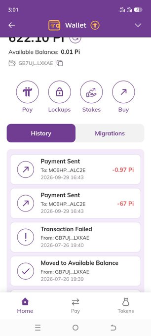 A mobile screenshot of a Pi cryptocurrency wallet showing an available balance of only 0.01 Pi and a transaction history with two large payments sent (totaling 67.67 Pi) and a failed transaction, illustrating the post's warning about how the user's Pi Coin was stolen after pasting their passphrase on a fake Pi browser.