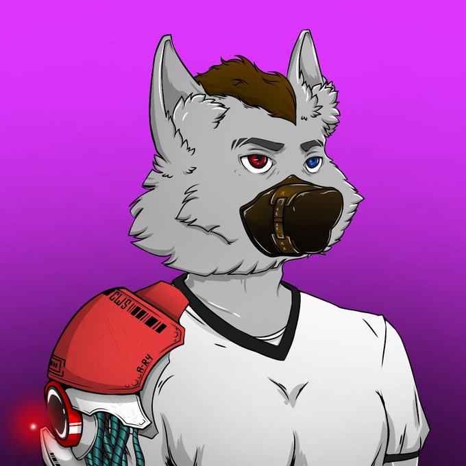 A digital illustration of an anthropomorphic wolf character with heterochromia (red and blue eyes) and a muzzle, wearing a white v-neck shirt and red shoulder armor against a purple background.