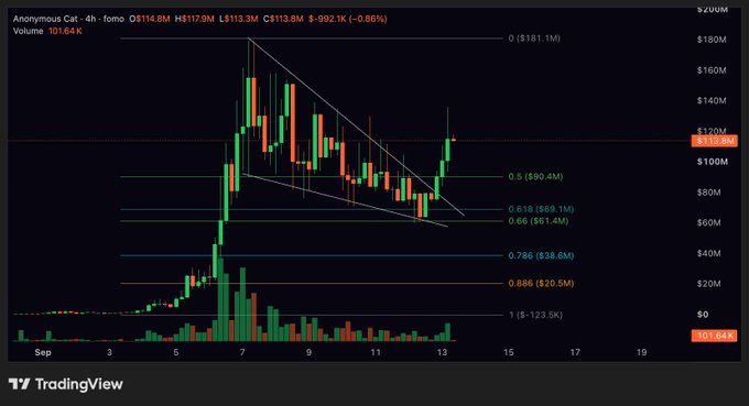 A TradingView 4-hour candlestick chart for Anonymous Cat ($ZCAT) showing the price at $113.8M (down 0.86%) with a 24-hour volume of 101.64K, displaying Fibonacci retracement levels (0.5–0.886) overlaid on a descending wedge pattern as the price attempts a breakout above resistance near $113.8M.