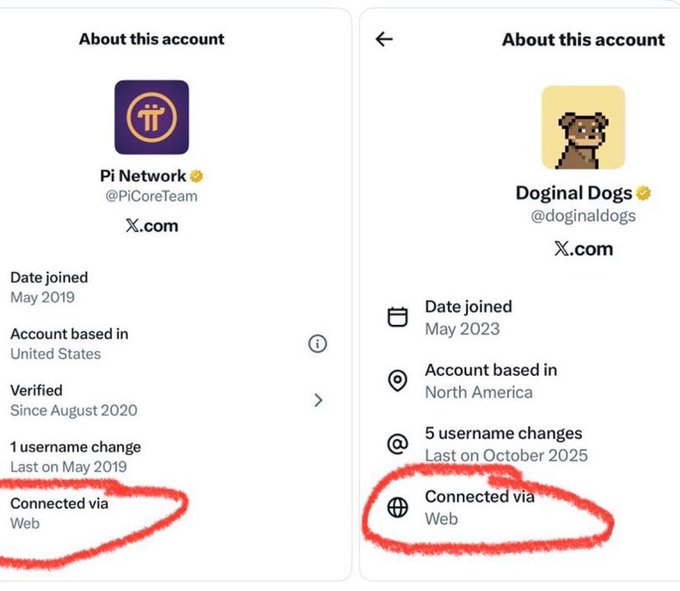 Side-by-side comparison of "About this account" profiles on X showing Pi Network (@PiCoreTeam), joined May 2019 and verified since August 2020, alongside Doginal Dogs (@doginaldogs), joined May 2023 with 5 username changes—suggesting both accounts connect only "via Web," which appears to contrast a long-established verified project with a newer, frequently renamed meme token often associated with speculative crypto holdings.