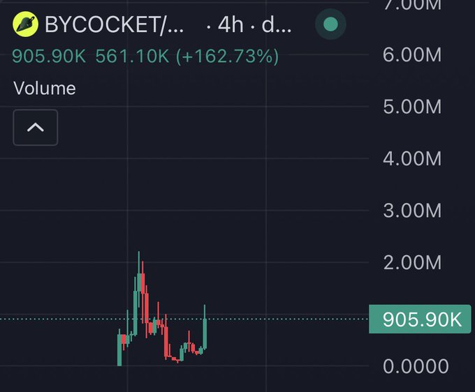 A chart shows the BYCOCKET token volume at 905.90K, with a significant increase of +162.73%. This likely relates to the post's claim of finding a "strong cult" for $BYCOCKET on Robinhood.