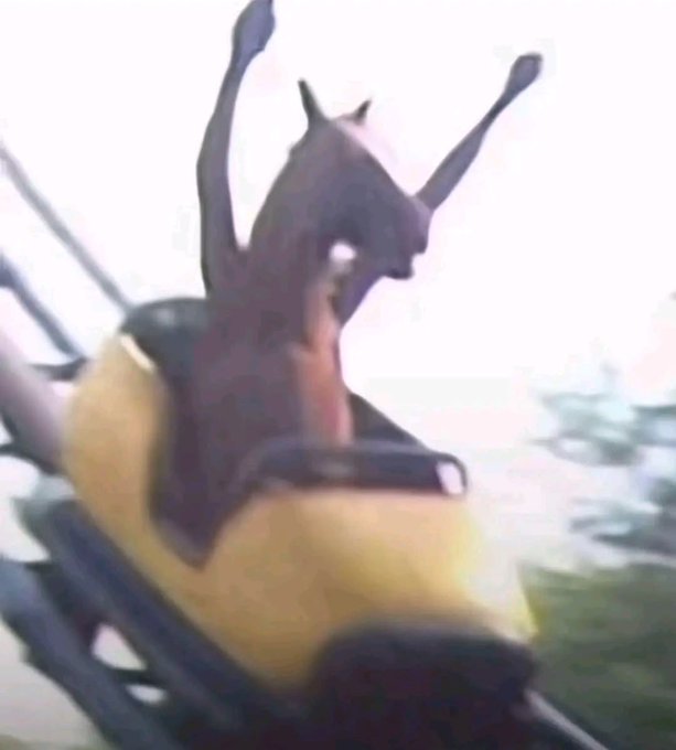 A blurry, close-up photo of a screaming person on an amusement park ride with their arms raised.