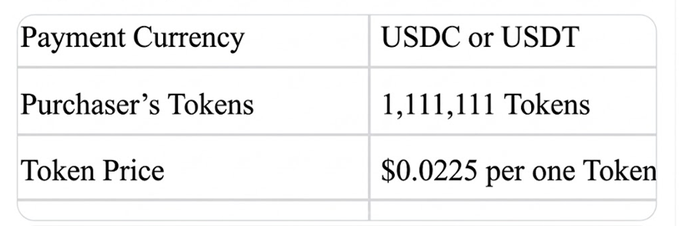 A table outlining token sale terms: Payment Currency is USDC or USDT, Purchaser's Tokens are 1,111,111 Tokens, and Token Price is $0.0225 per token.