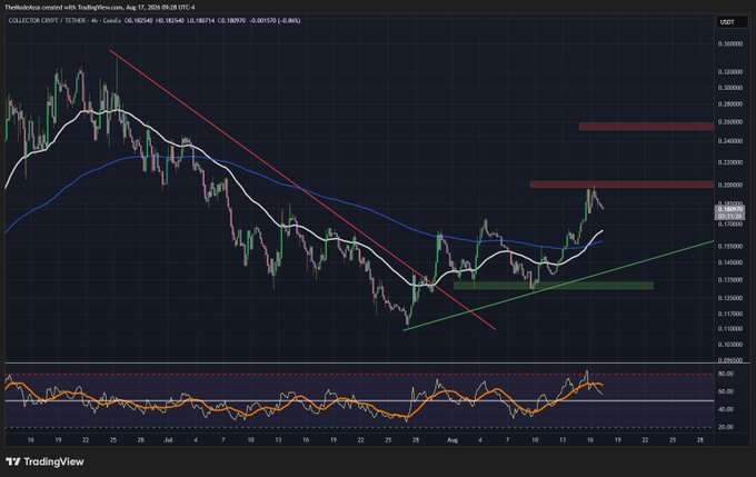 A TradingView chart for 'TheNakedApe' crypto token on TradingView, showing candlestick patterns with red descending trendline, green ascending trendline, and moving averages.