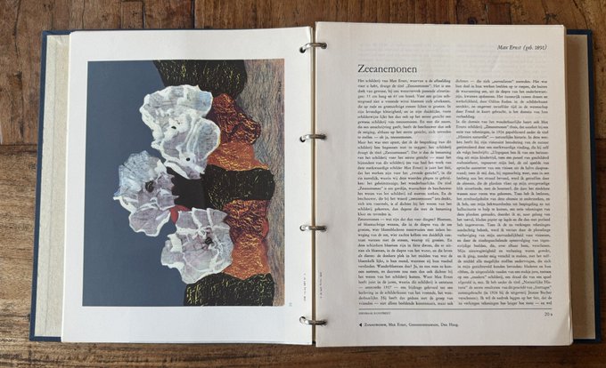 An open book displays a colorful abstract painting of figures on the left page and a chapter titled 'Zeeanemonen' with Dutch text on the right page, laid on a wooden surface.