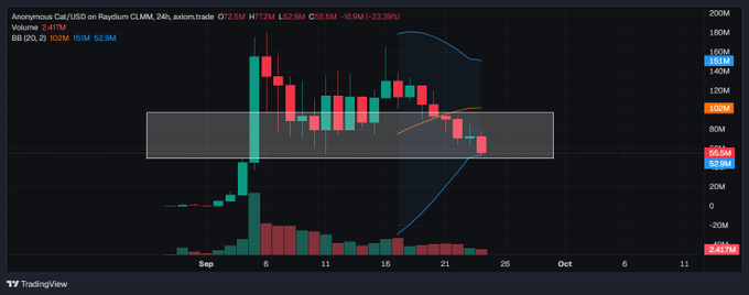 A TradingView candlestick chart for the CAT/USD pair on Raydium CLMM displays a volatile 24-hour range with a high of 125.0M and low of 82.5M, currently priced at 92.9M with a -16.9% decline.