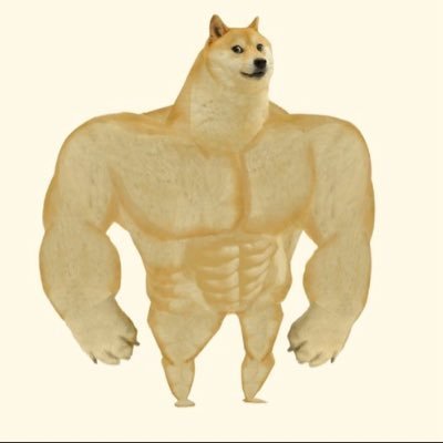 The image depicts a "Swole Doge" or "Buff Doge" — a muscular, bodybuilder version of the classic Shiba Inu Doge meme — standing upright with exaggerated physique. It connects to the post's reference to "$SWOGE," a play on the Doge meme coin, by visually reinforcing the "strong" or "pumped" imagery that often accompanies crypto hype, suggesting the token could "fly high" much like Doge did to massive valuations.