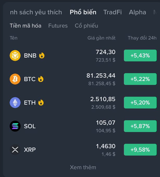 Vietnamese cryptocurrency market tracker (in Vietnamese) showing popular coins: BNB at 724.30 (+5.43%), BTC at 81,253.44 (+5.22%), ETH at 2,510.85 (+5.20%), SOL at 105.07 (+5.87%), and XRP at 1.4630 (+9.58%), all marked with fire emojis indicating gains.
