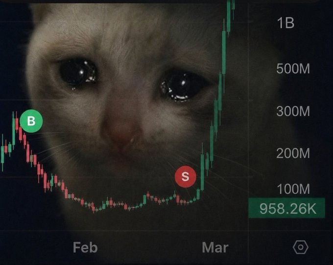 A trading chart overlaid on a crying cat's face, showing a price dip from approximately 200M to 958.26K between February and March, with 'B' and 'S' markers.