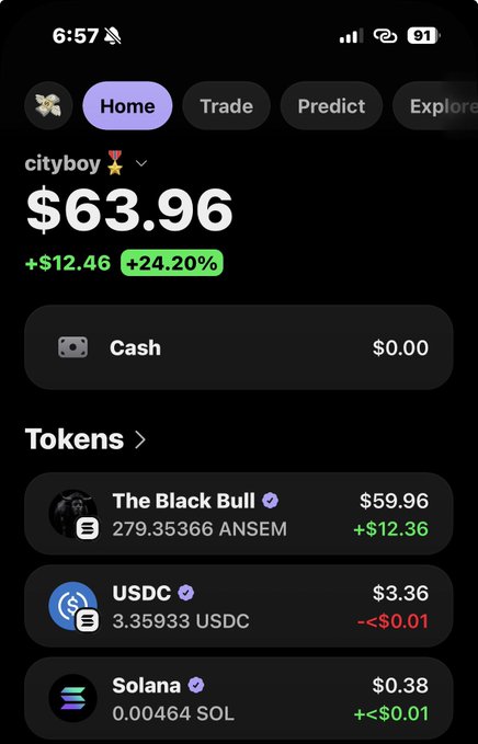 A mobile trading app screenshot showing a 'cityboy' portfolio at $63.96 (+24.20%), holding The Black Bull ($ANSEM), USDC, and Solana (SOL).