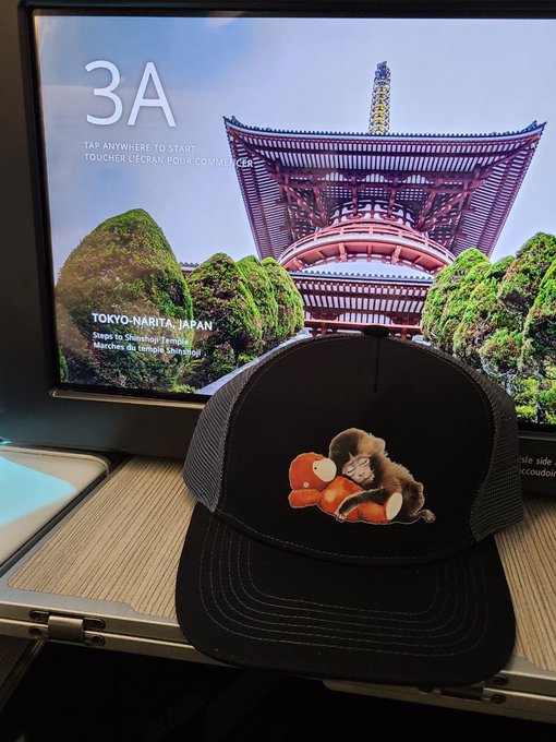 A black trucker hat featuring a teddy bear hugging a teddy bear sits on an airplane tray table in front of a screen displaying seat 3A and a Tokyo-Narita, Japan destination prompt, capturing the start of the traveler's pilgrimage journey.