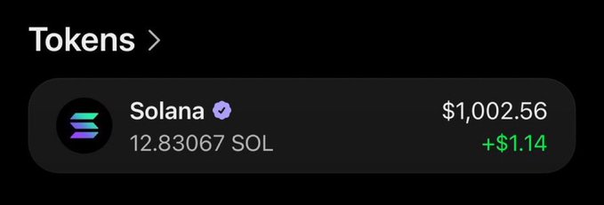 The image shows a crypto portfolio tracker displaying a holding of 12.83067 SOL (Solana) valued at $1,002.56, up +$1.14. It relates to the post's mention of $SOL, likely used as visual proof of a substantial Solana holdings to promote a giveaway or trading signal channel.