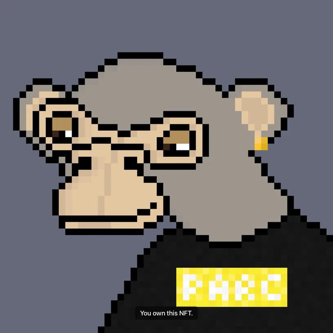 A pixel art NFT of a monkey character wearing glasses with 'PHBC' displayed on a yellow banner, noting 'You own this NFT.'