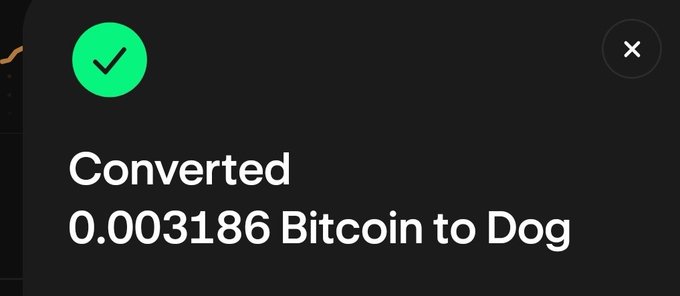 A confirmation notification reading 'Converted 0.003186 Bitcoin to Dog' with a green checkmark.