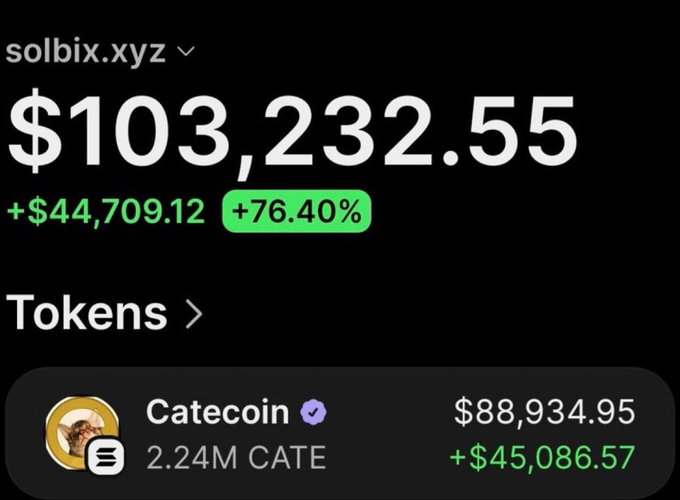This image shows a portfolio balance of $103,232.55, with Catecoin holdings valued at $88,934.95, reflecting a significant profit.