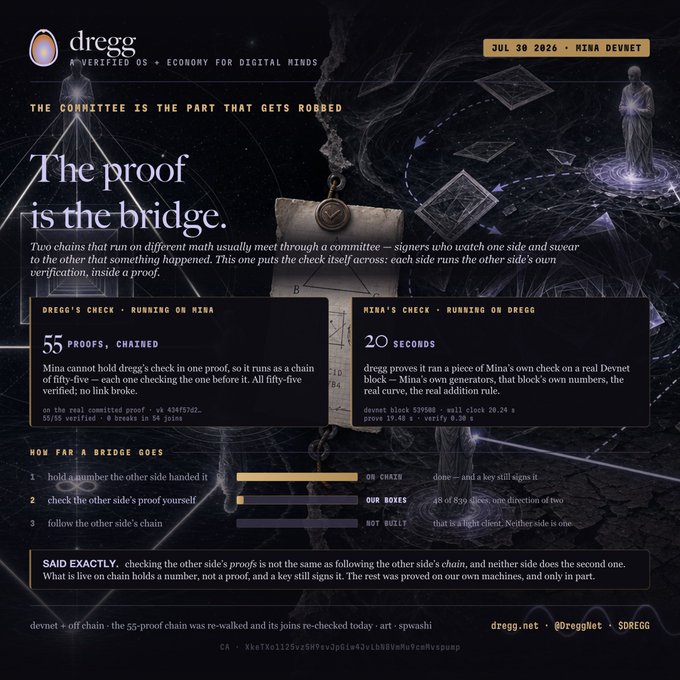 The image is a dark, mystical-styled infographic titled "The proof is the bridge," promoting **DREGG** (a verified OS and economy for digital minds) and dated **JUL 30 2026 - MINA DEVNET**.

Key visible elements include:
- A tagline: *"The committee is the part that gets robbed."*
- Two side-by-side stats boxes:
  - **Dregg's Check (running on Mina):** 55 PROOFS, CHAINED (with a hash `v8 434f532...` and `55/55 verified, 0 breaks in 55 joins`)
  - **Mina's Check (running on Dregg):** 20 SECONDS (with block hash `SP5008`, `20.24 s` proving, `19.42 s` verify, `8.30 x`)
- A "How Far a Bridge Goes" comparison table with three rows (*hold a number, check the proof